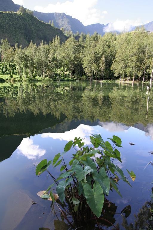 Le Relais Des Cimes Ξενοδοχείο Salazie Εξωτερικό φωτογραφία